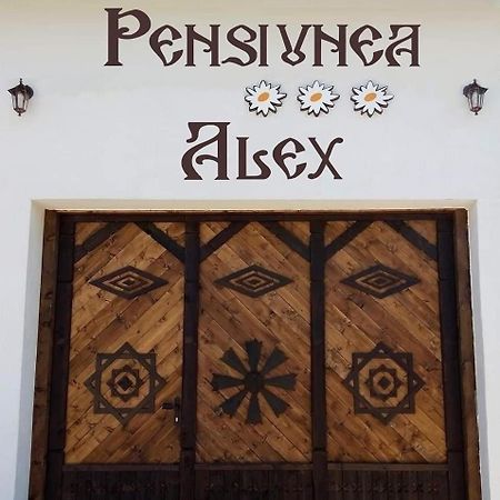Pensiunea Alex Marga Екстер'єр фото